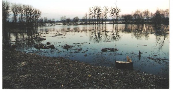 Фотовиставка Олександра Пизи